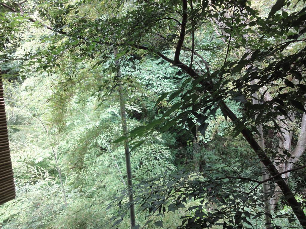Ryokan Kiritani Hakoneso Dış mekan fotoğraf